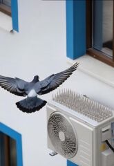 Kuş Kovucu Kuş Kondurmaz Dikenler 8cmx40cm 2 Adet