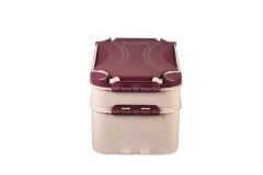 Moonstar Modüler Taşıma Kabı Piknik sepeti Çokamaçlı 21Lt