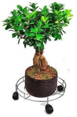 Çelik ayna Saksı Damacana Kolon küllük Tüp Altlığı Tüpçek 702