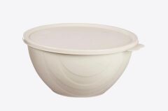 Moon Star Elegance Kapaklı Yoğurt Mayalama Kabı Yemek Saklama Kabı 2,5Litre-RBK-312