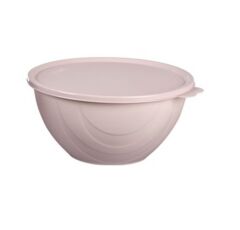Moon Star Elegance Kapaklı Hava ve Koku Sızdırmaz Yemek Saklama Kabı 1 Litre-RBK-311