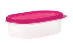 Moon Star Peynir Saklama Kabı Süzgeçli Hava Sızdırmaz 1,8+0,9 Litre-MID-ST200