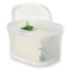 Moon Star Peynir Saklama Kabı Süzgeçli Hava Sızdırmaz 1,8 Litre MID-201