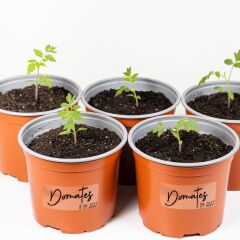 Suya Dayanıklı, Yazılabilen Şeffaf Etiket 8x5cm-30 Ad