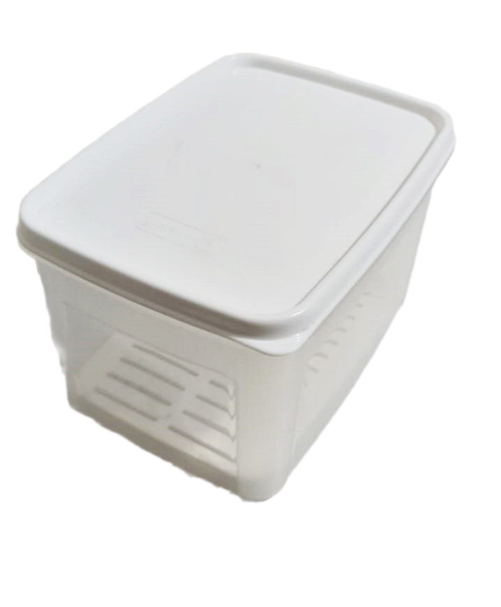Geseus Moonstar Süzgeçli Peynir Saklama Kabı 2 Litre BPA FREE-MS06