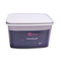 Geseus Moonstar Süzgeçli Peynir Saklama Kabı 2 Litre BPA FREE-MS06