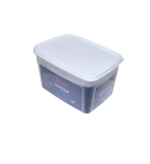 Geseus Moonstar Süzgeçli Peynir Saklama Kabı 2 Litre BPA FREE-MS06