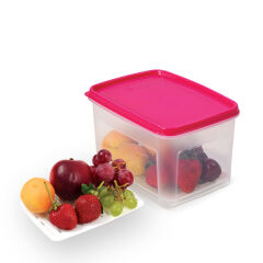 Geseus Moonstar Süzgeçli Peynir Saklama Kabı 2 Litre BPA FREE-MS06