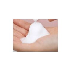 PALEX İNTER KÖPÜK DİSPENSER+5KG KÖPÜK SABUN-3450-D-0